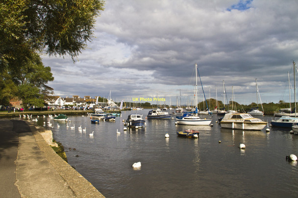 Photo 6"x4" Riverside walk Christchurch\/SZ1592 c2011