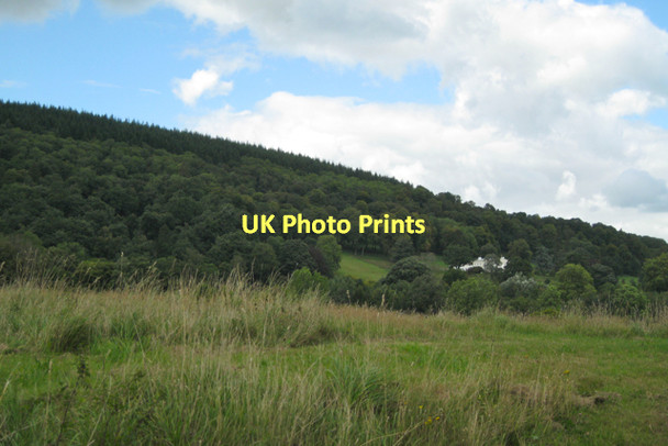 Photo 6"x4" Parkland and plantations above Canonteign House.  Hennock c2011