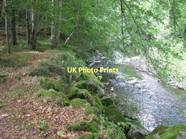 Photo 6"x4" Mossy boulders by the Teign  Hennock c2011