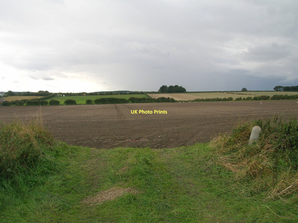 Photo 6"x4" Field entrance off Bempton Lane Bridlington c2011