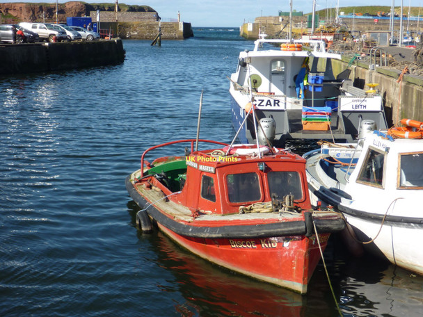 Photo 6"x4" Coastal Berwickshire : The Biscoe Kid at Eyemouth Eyemouth c2011