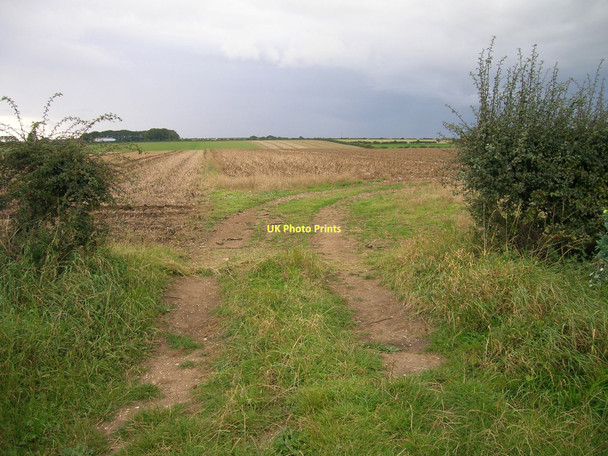 Photo 6"x4" Field entrance off Bempton Lane Buckton\/TA1872 c2011