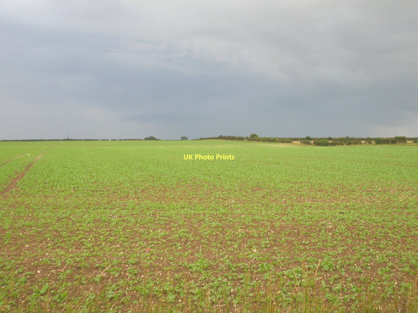 Photo 6"x4" Farmland off Bempton Lane Buckton\/TA1872 c2011