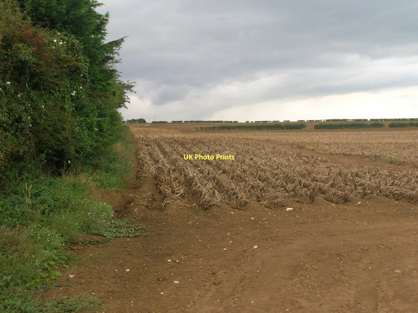 Photo 6"x4" Hedgerow and field Buckton\/TA1872 c2011