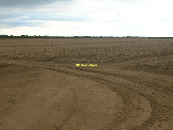 Photo 6"x4" Potato field Buckton\/TA1872 c2011