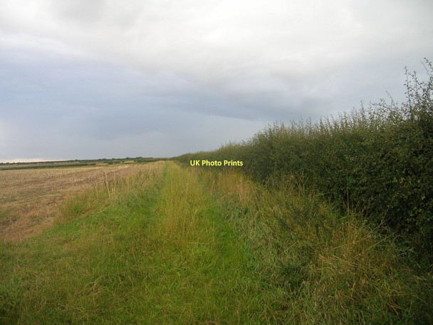 Photo 6"x4" Hedgerow and field Buckton\/TA1872 c2011