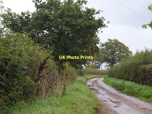 Photo 6"x4" Saundercroft Road Jack-in-the-Green c2011