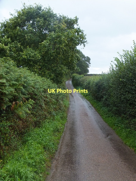 Photo 6"x4" Road south of Tub Corner Jack-in-the-Green c2011