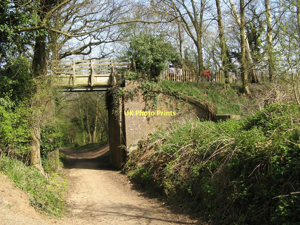 Photo 6"x4" Tunnel under disused railway line Birtley Green c2010