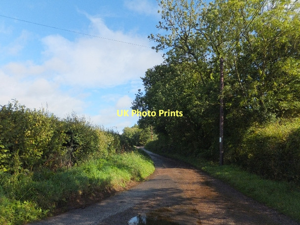 Photo 6"x4" Minor road near Larkbeare Court Larkbeare c2011