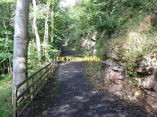 Photo 6"x4" Pennine Cycleway Etal c2011