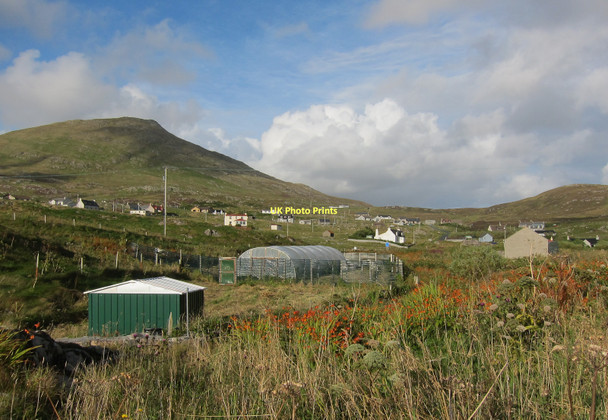 Photo 6"x4" Polytunnel in Castlebay Castlebay\/B\u00e0gh a' Chaisteil c2011