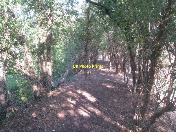 Photo 6"x4" Footpath at Misterton Misterton\/SK7694 c2011