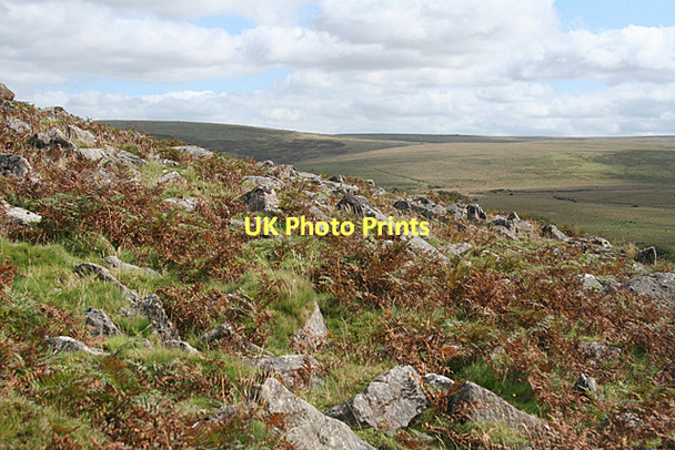 Photo 6"x4" Sheepstor: on Yellowmead Down Sheepstor c2011