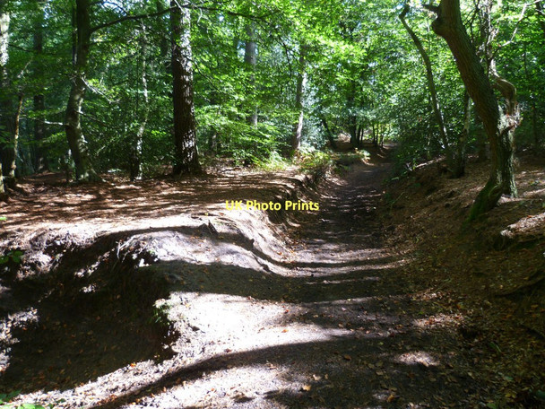 Photo 6"x4" The Greensand Way ascending from the west to Ewhurst Windmill Peaslake c2011