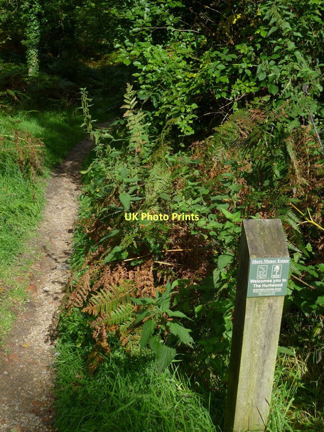 Photo 6"x4" Bridleway marker in The Hurtwood Peaslake c2011