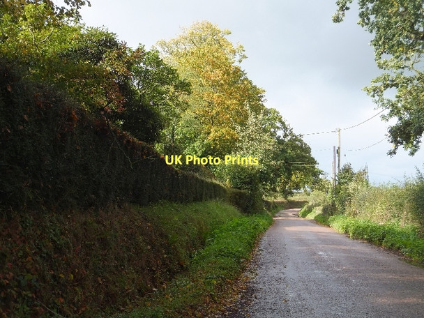 Photo 6"x4" Minor road passing Rydon House Higher Tale c2011