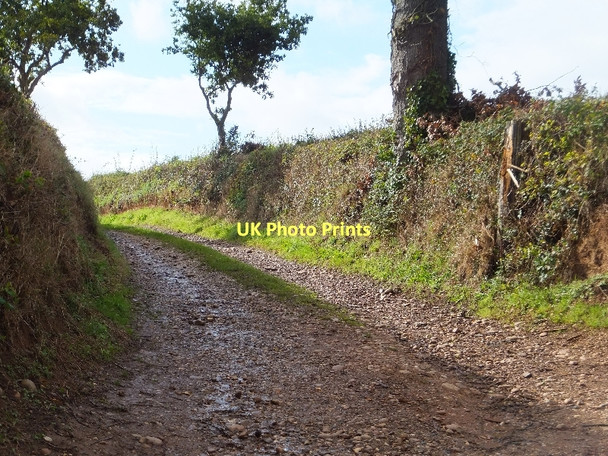 Photo 6"x4" Farm track north of Rydon Barton Higher Tale c2011