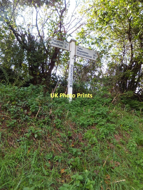 Photo 6"x4" Signpost at Blue Anchor Cross Higher Tale c2011