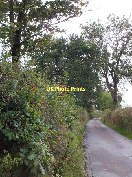 Photo 6"x4" Minor road west of Peradon Farm Higher Tale c2011