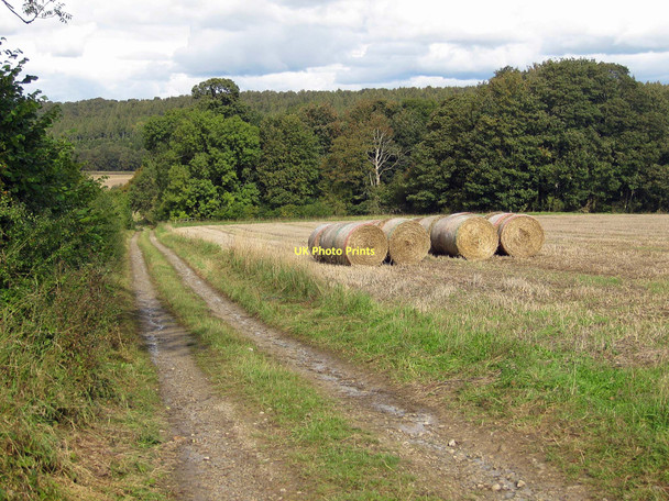Photo 6"x4" Bales near Whin Covert Coneysthorpe c2011