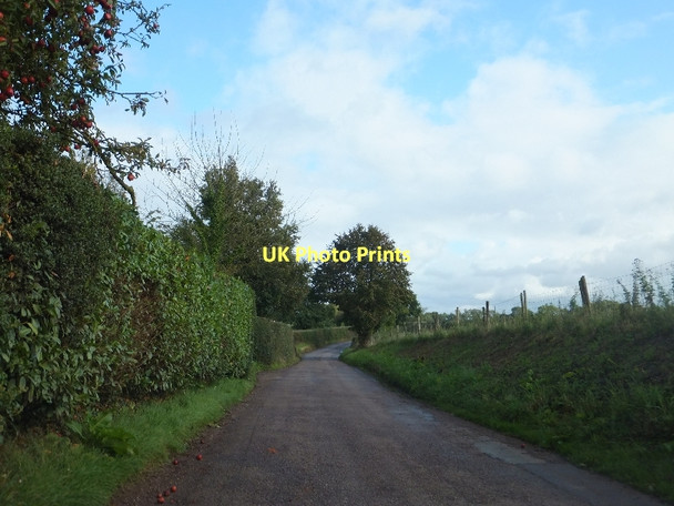 Photo 6"x4" Minor road passing Newcourt Barton Langford\/ST0202 c2011