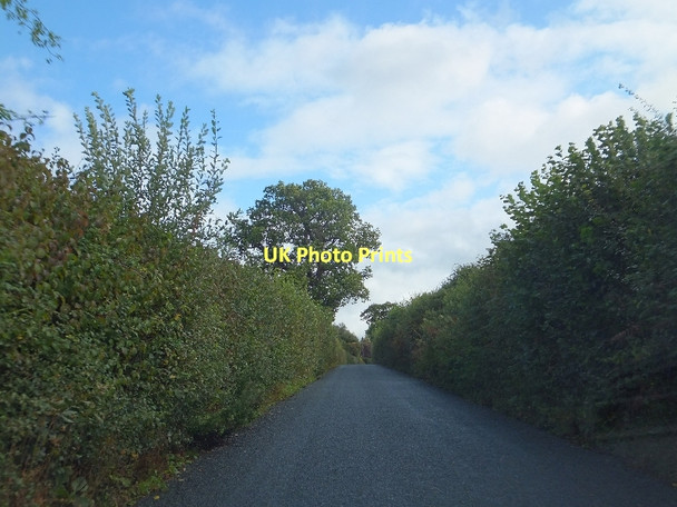 Photo 6"x4" Minor road from Langford to Clyst Hydon Langford Green\/ST0302 c2011