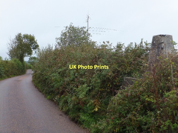 Photo 6"x4" Trig point near Hensleigh Farm Cotteylands c2011
