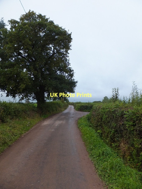 Photo 6"x4" Minor road passing entrance to Burridge Farm Cotteylands c2011
