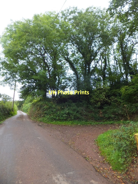 Photo 6"x4" Former quarry near Huntland Wood Little Silver\/SS9109 c2011