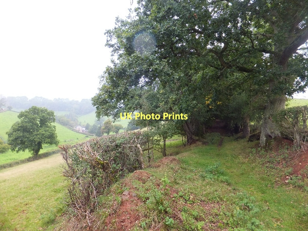 Photo 6"x4" Bridleway near Little Silver Little Silver\/SS9109 c2011