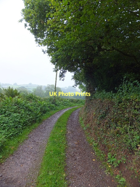 Photo 6"x4" Bridleway to Ashliford farm Little Silver\/SS9109 c2011