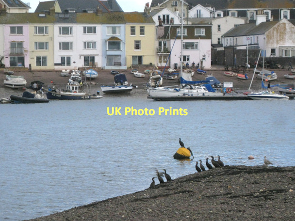Photo 6"x4" On the Salty: 11 Teignmouth c2011