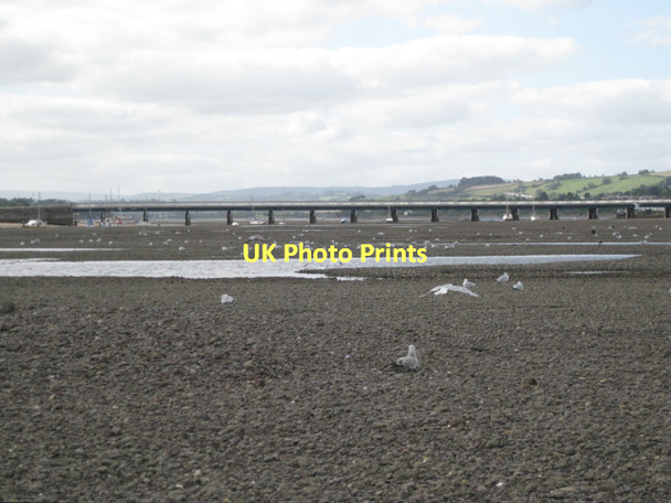 Photo 6"x4" On the Salty: 12  Teignmouth c2011