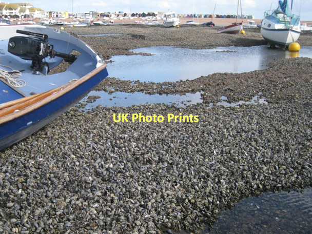Photo 6"x4" On the Salty: 18  Teignmouth c2011