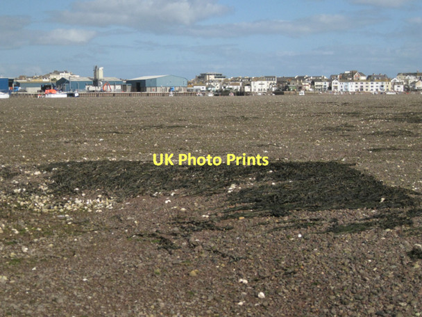 Photo 6"x4" On the Salty: 21  Teignmouth c2011