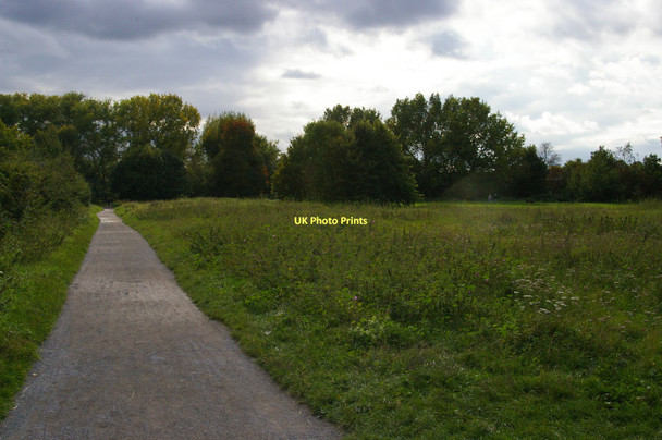 Photo 6"x4" Morden Hall Park Merton\/TQ2569 c2011