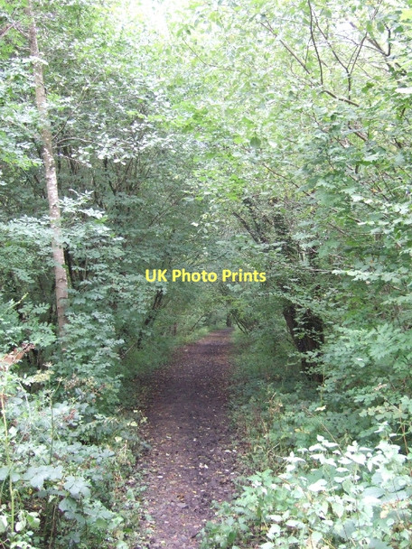 Photo 6"x4" Path along the abandoned railway west of Brushford Brushford\/SS9225 c2011