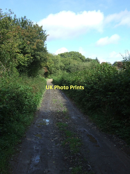 Photo 6"x4" Part of former route of Exe Valley Way Brushford\/SS9225 c2011
