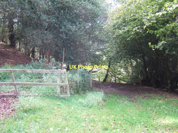 Photo 6"x4" Part of rerouted section of Exe Valley Way on Hulverton Hill Brushford\/SS9225 c2011