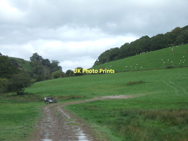 Photo 6"x4" Exe Valley Way south of Hulverton Hill Brushford\/SS9225 c2011