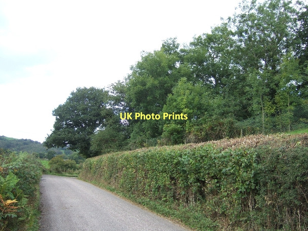 Photo 6"x4" Minor road (part of Exe Valley Way) Exebridge c2011