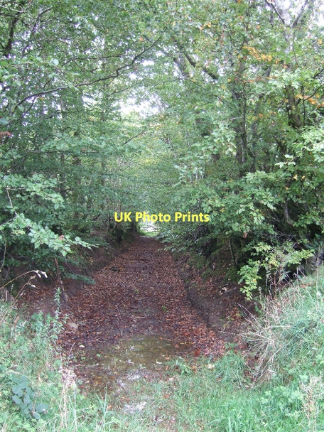 Photo 6"x4" Public footpath (old track) Bampton\/SS9522 c2011