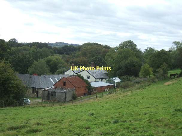 Photo 6"x4" Rows Farm Bampton\/SS9522 c2011