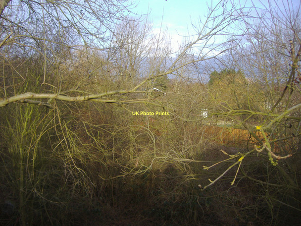 Photo 6"x4" View through the trees from Crews Hill station entrance Botany Bay\/TQ2999 c2009