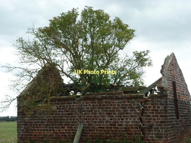 Photo 6"x4" Is this what you would call a treehouse? Weel c2011