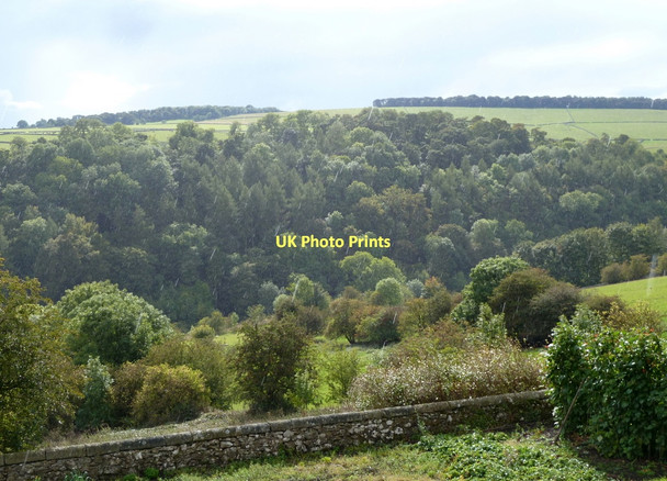 Photo 6"x4" View across Lathkill Dale Bakewell c2011