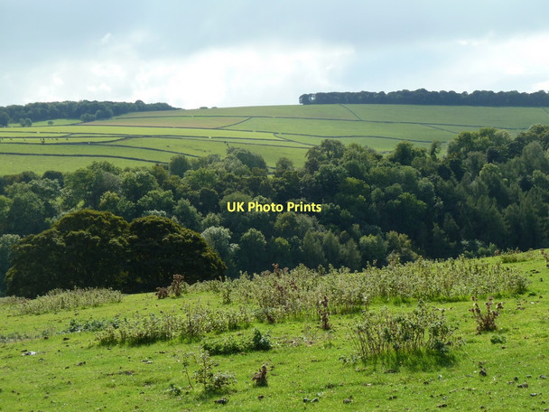Photo 6"x4" Countryside view across Lathkill Dale Bakewell c2011