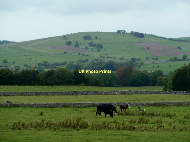 Photo 6"x4" Upland grazing north of Bakewell Bakewell c2011