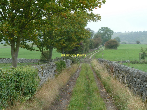 Photo 6"x4" Walled track north of Great Longstone Great Longstone c2011